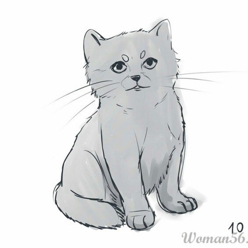 Рисунки уотяков