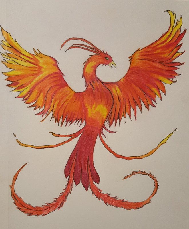 Птица Феникс рисунок