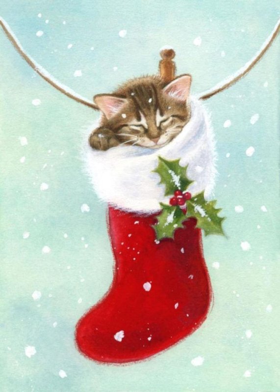 Новогодний кот