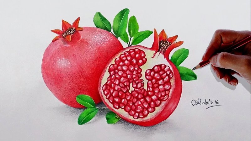 Рисование фруктов