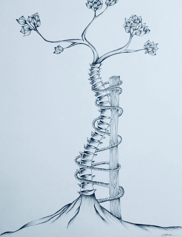 Позвоночник рисунок