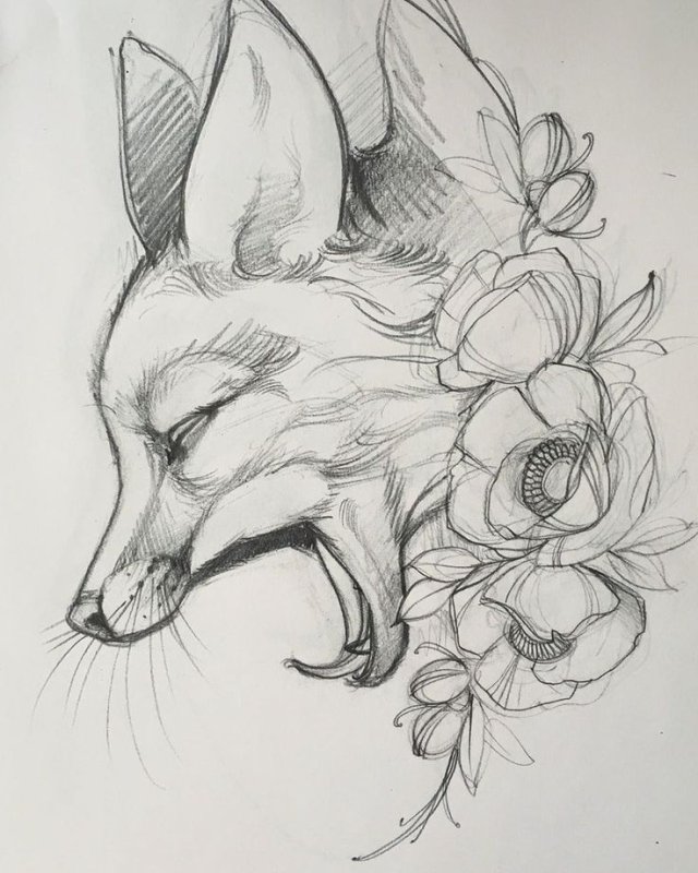 Красивые рисунки