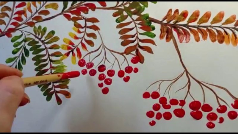 рисование ветка рябины в старшей группе