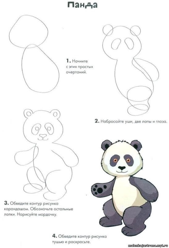 Рисунок панды пошагово