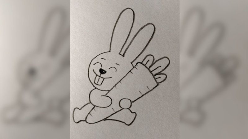 Заяц карандашом