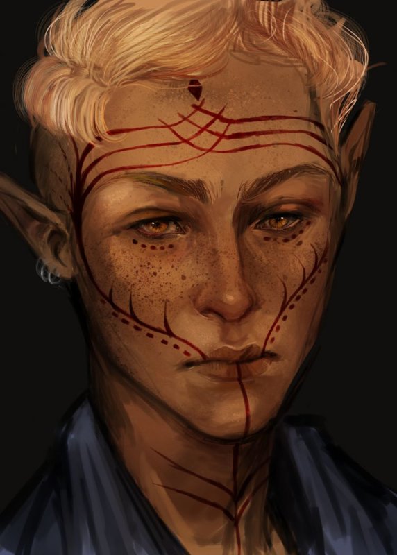 Dragon age Долийские эльфы