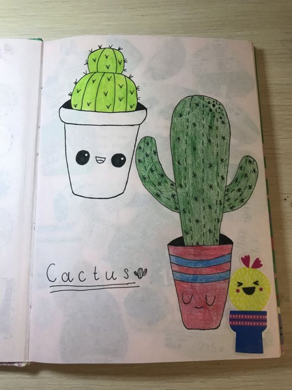 Кактус для срисовки лёгкий