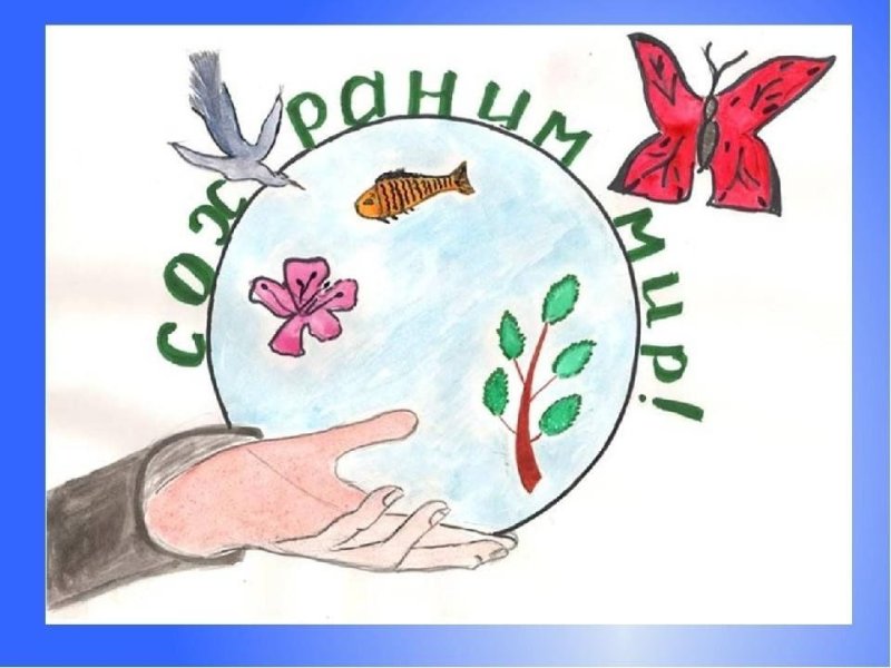 Рисунок на тему экология