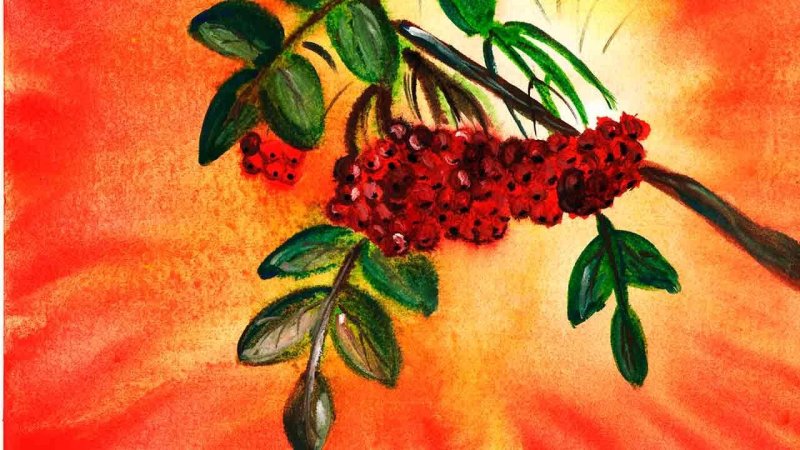 Рябинка рисование красками