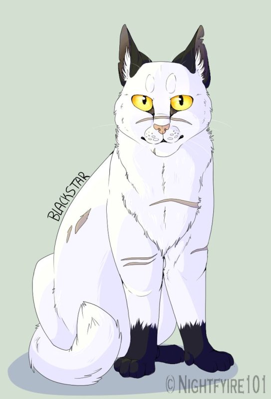 Коты Воители Чернозвёзд