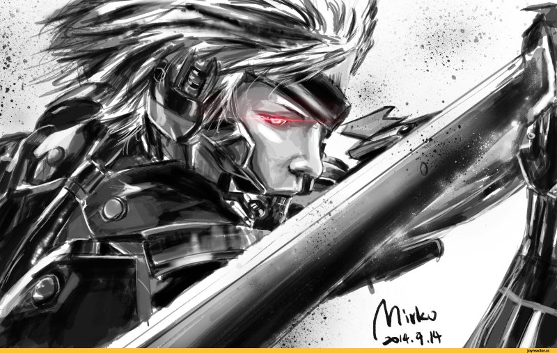 Raiden Metal Gear Rising