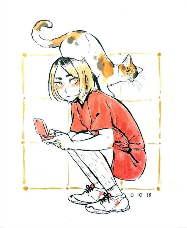 Кенма котик
