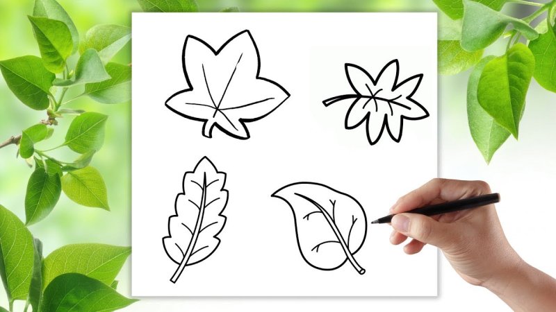 Легкие рисунки на листе