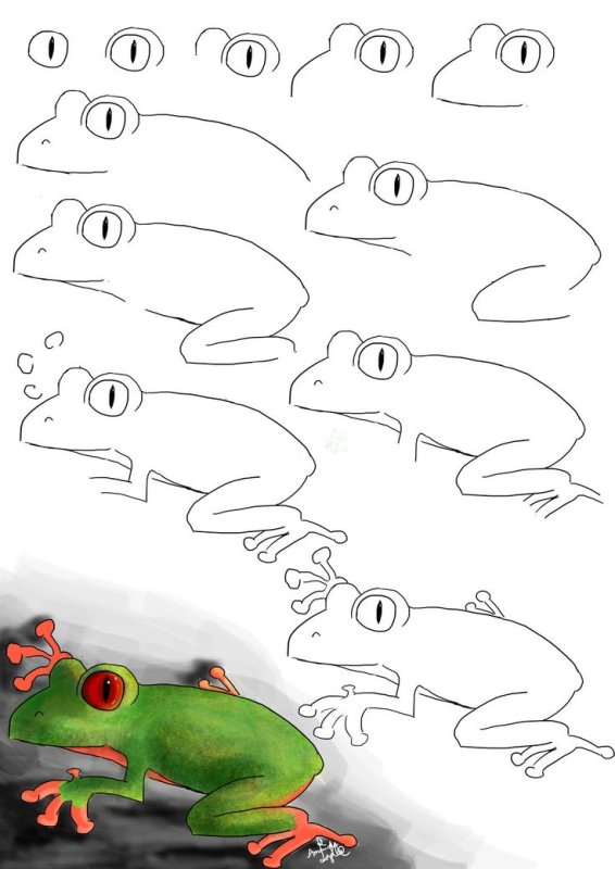Лягушка рисунок поэтапно