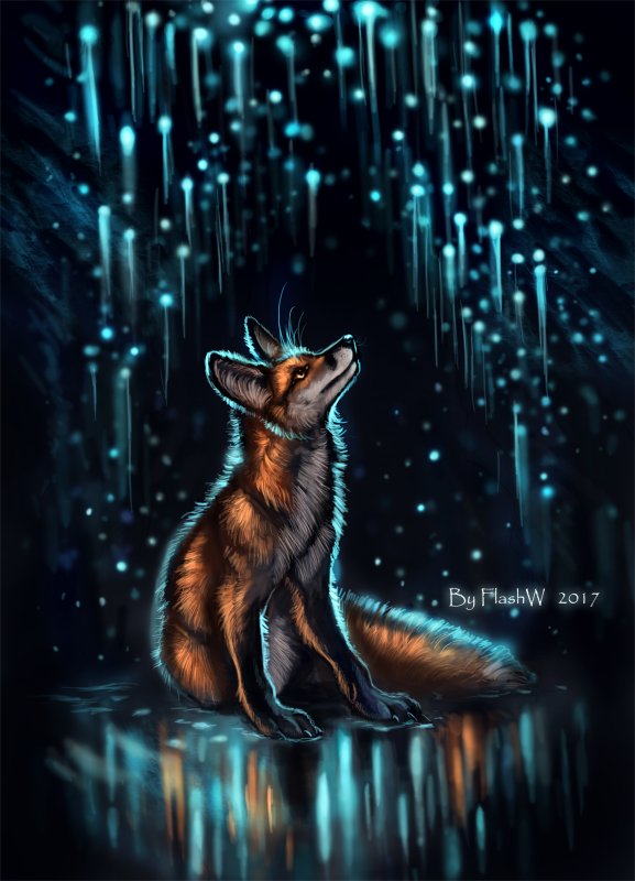 Ночная лиса