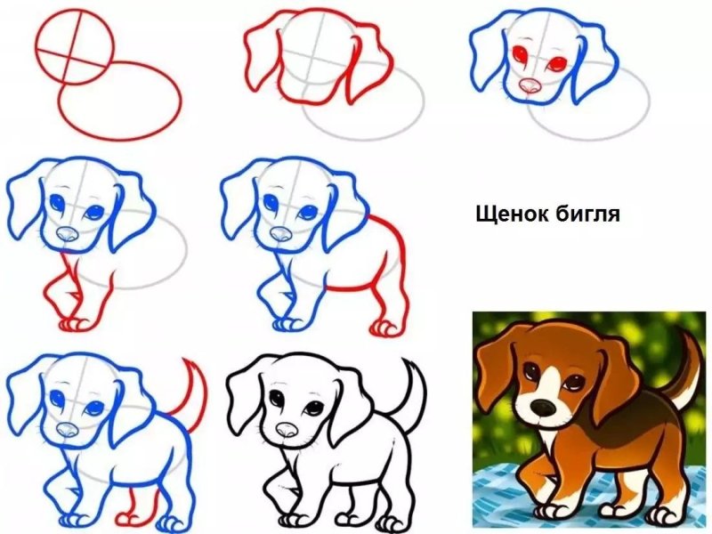 Поэтано рисование собаки