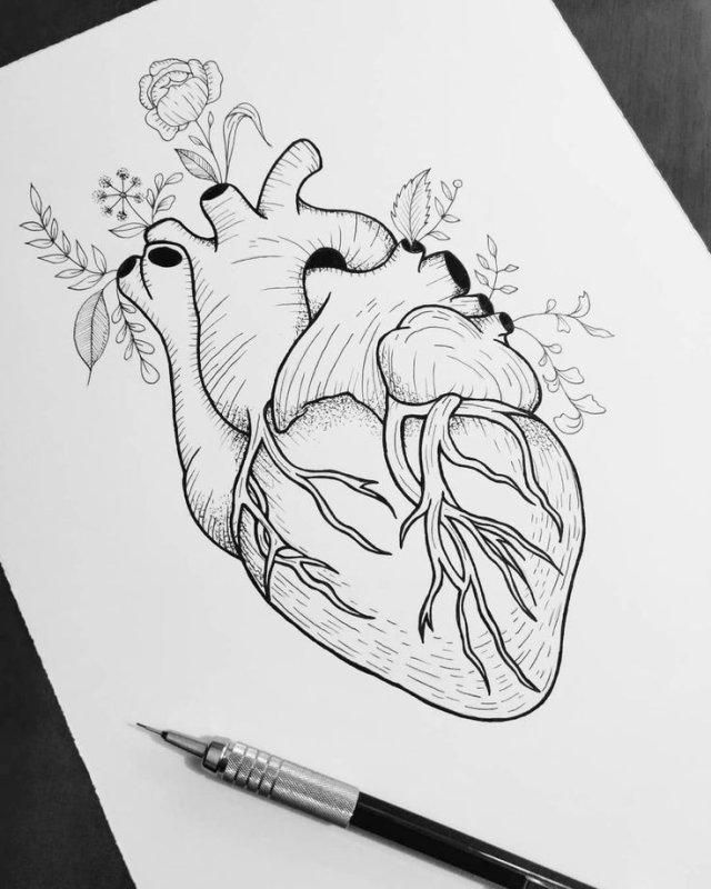 Необычные рисунки карандашом