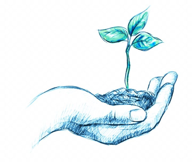 Росток иллюстрация