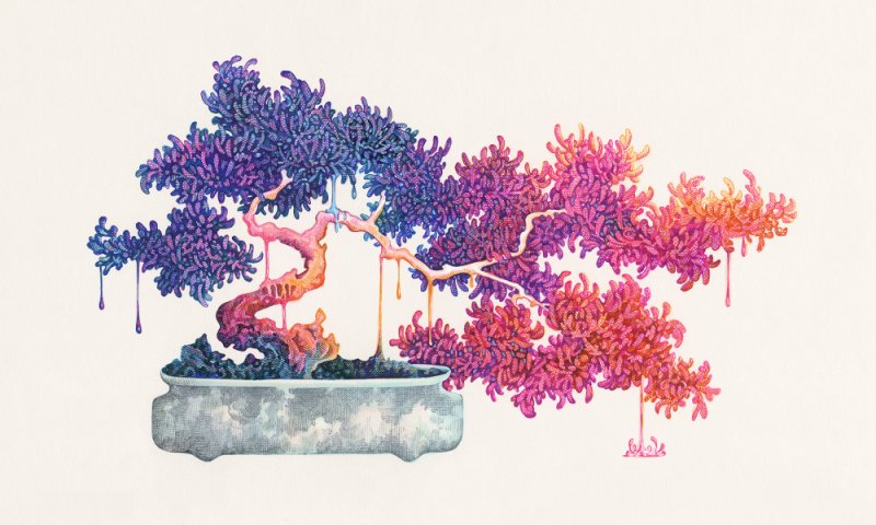 Зарисовки бонсай