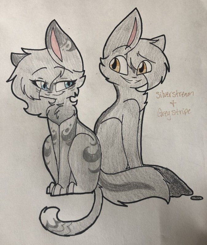 коты воители для срисовки