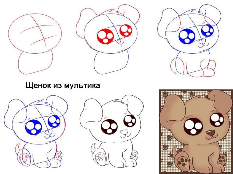 Рисунок собаки для срисовки легкие