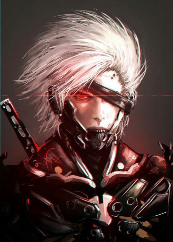 Райден Mgr арт