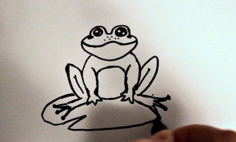 Лягушка рисунок
