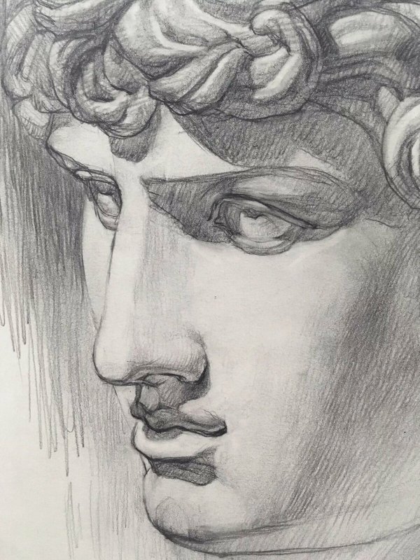 Антиной гипсовая голова рисунок