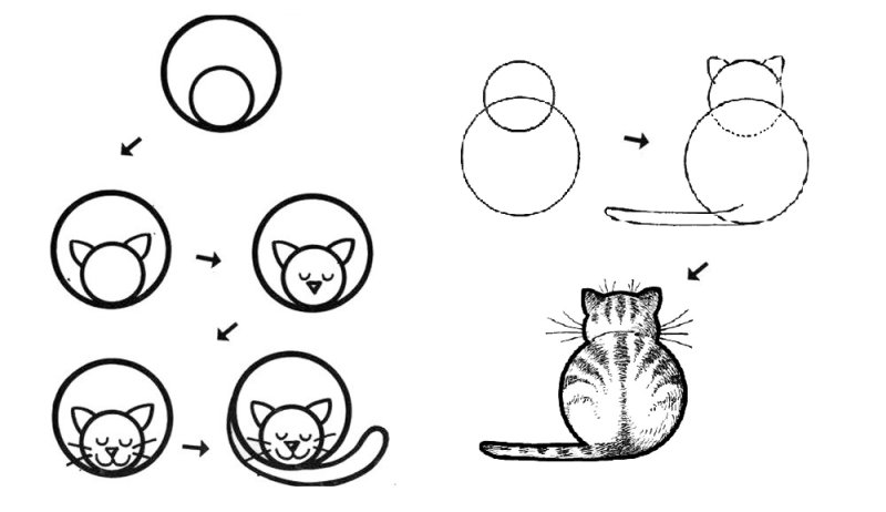 Схема рисования кошки
