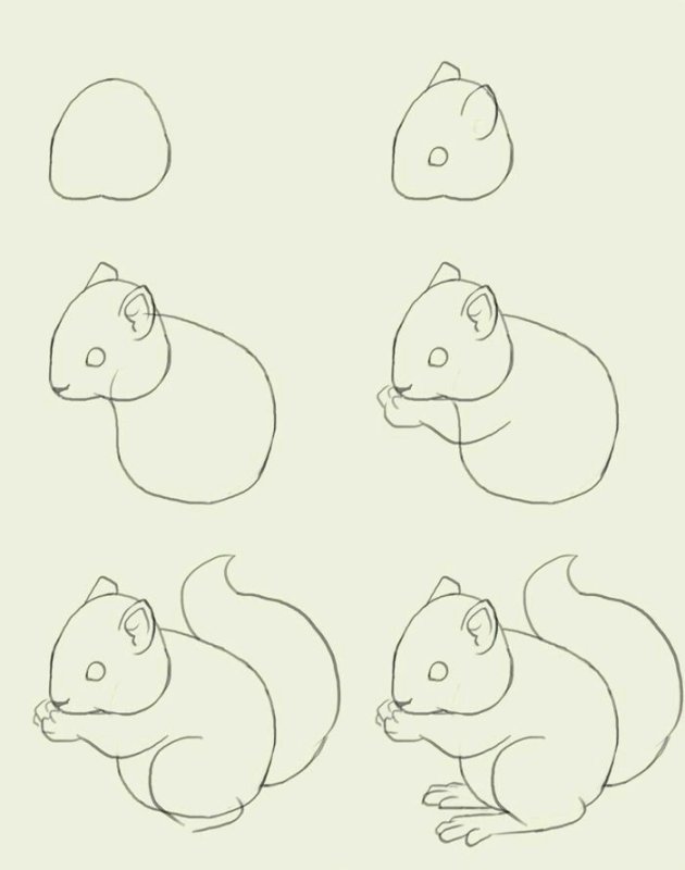 Срисовать рисунки легкие
