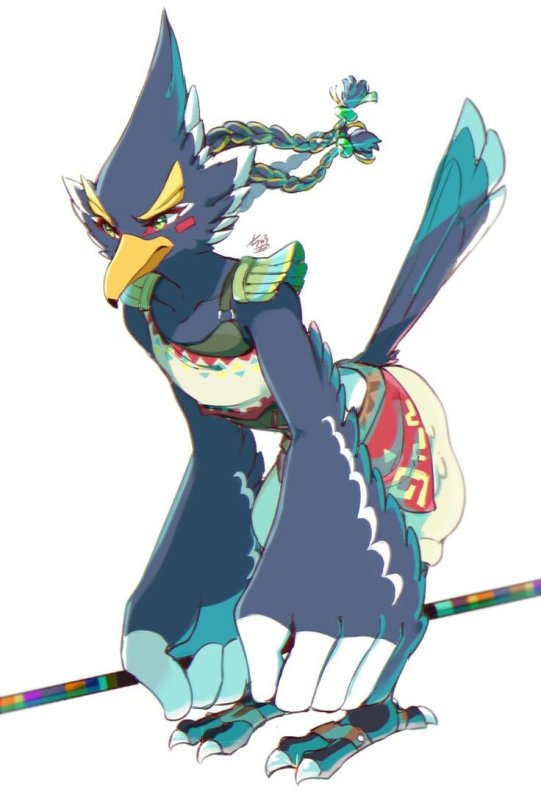 Revali BOTW