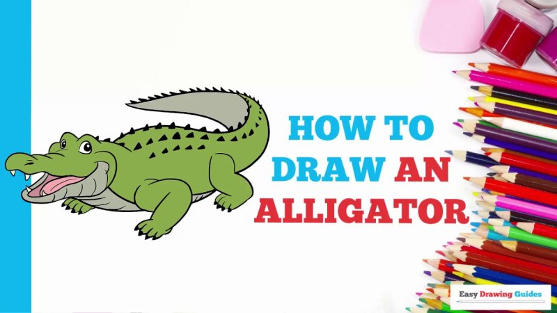 Alligator draw easy