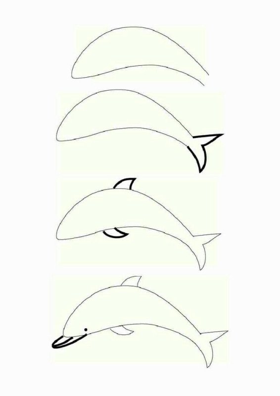 Рисунок дельфина