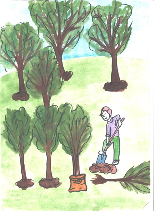 Сажать деревья рисунок