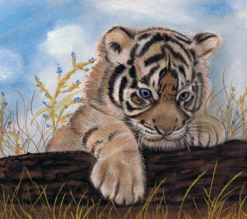 Рисунки животных