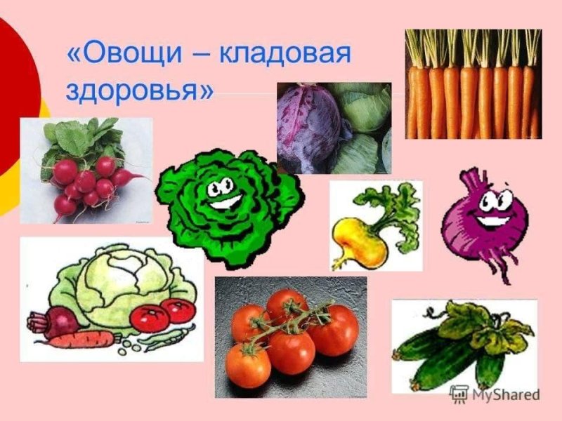 Витамины в овощах и фруктах