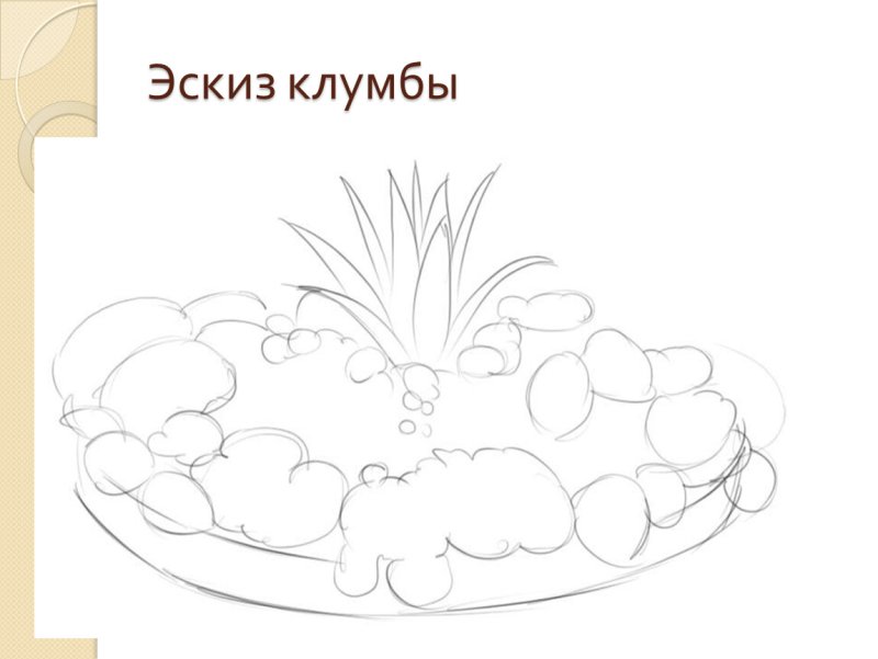 Клумба с цветами рисунок