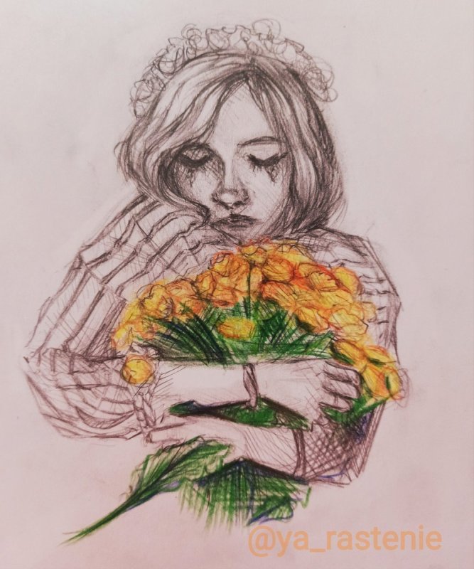 Рисунки Алёны Швец