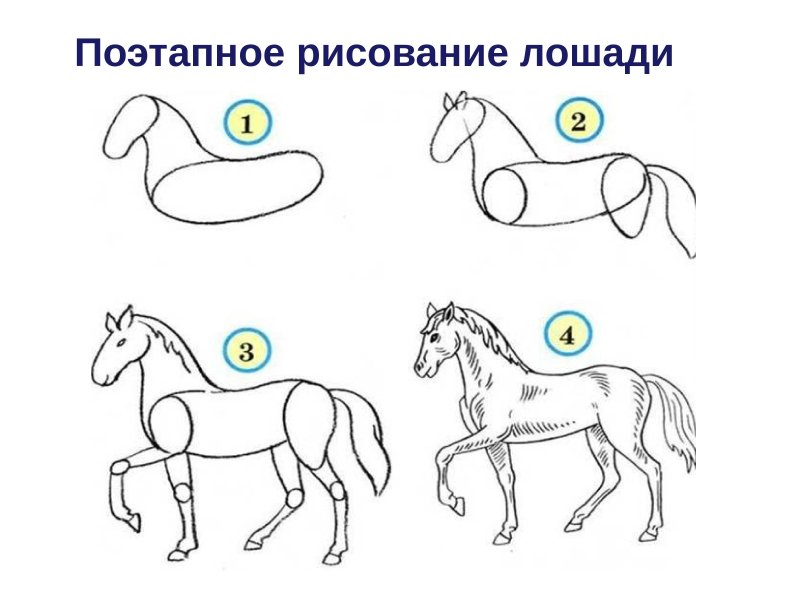 Поэтапное рисование лошади для детей