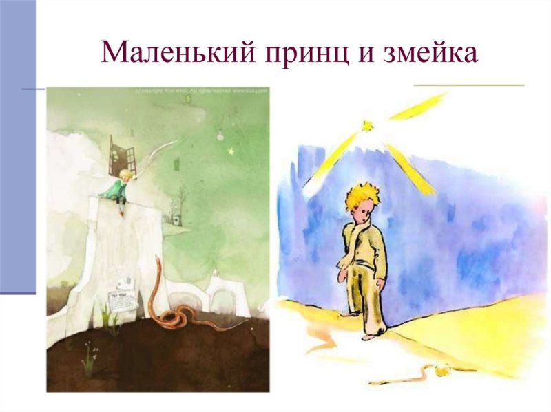 Маленький принц и змея