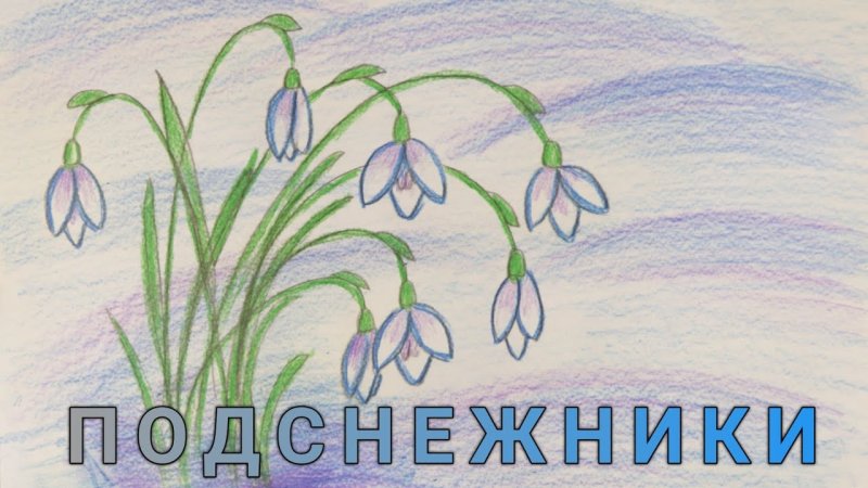 Подснежники цветными карандашами