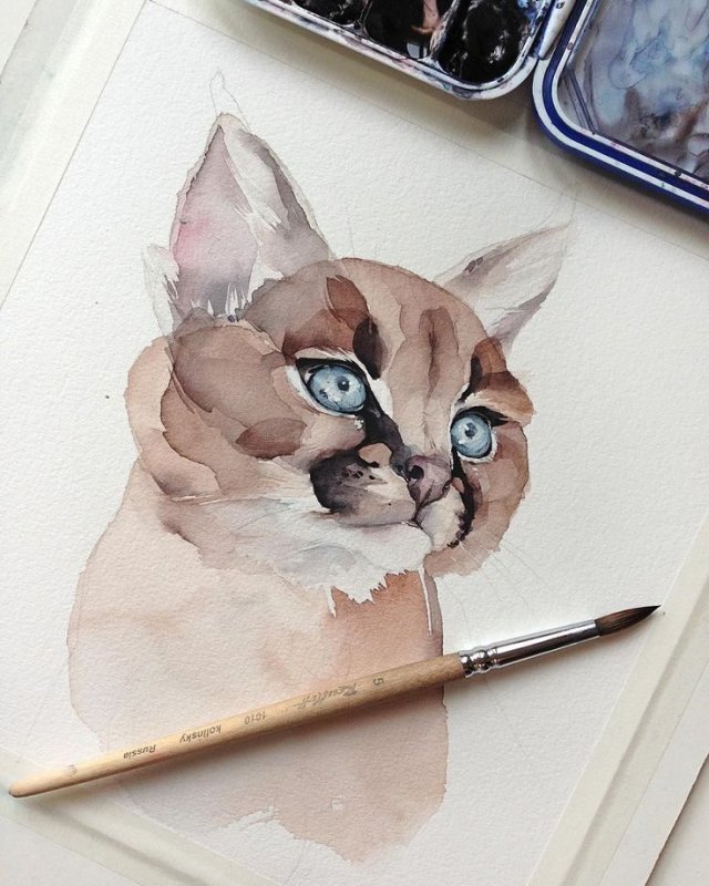 Идеи для рисунков акварелью
