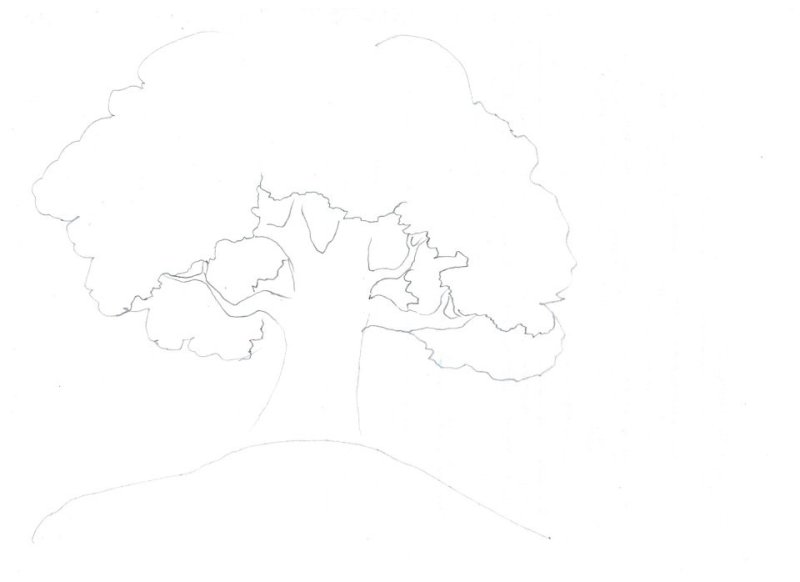 Деревья для срисовки легкие