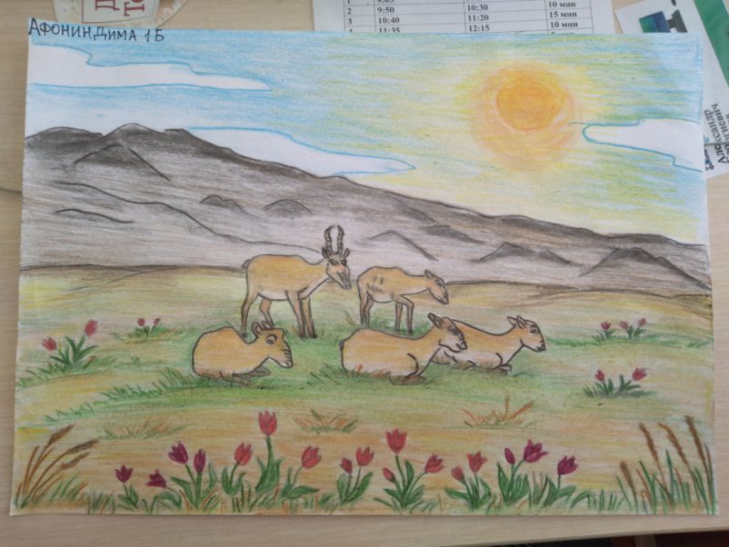 Степь рисунок