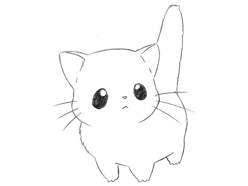 Рисунок кота для срисовки