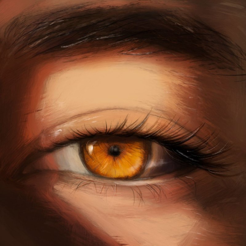 Dark Honey Eyes