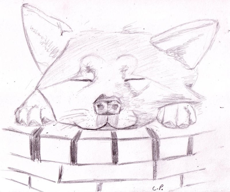 Хатико рисунок