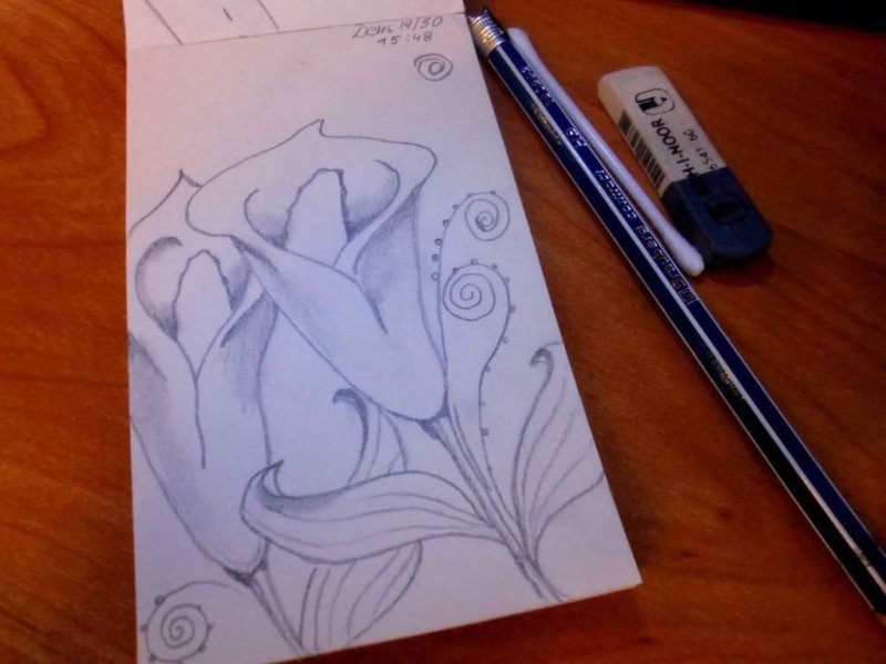 рисунки карандашом для начинаю