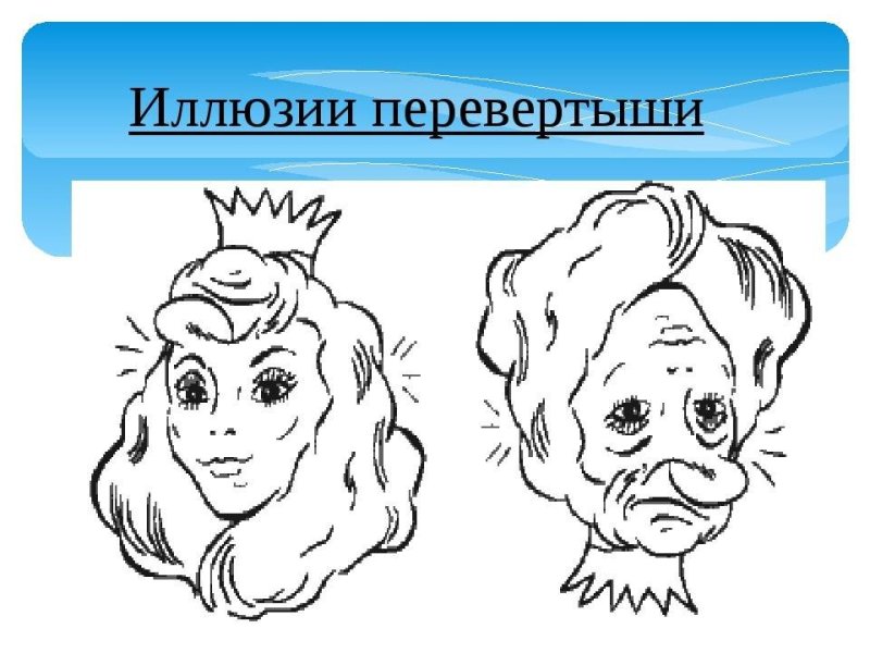 Портрет перевертыш
