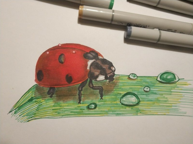 Божья коровка карандашом